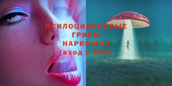 спиды Алексин