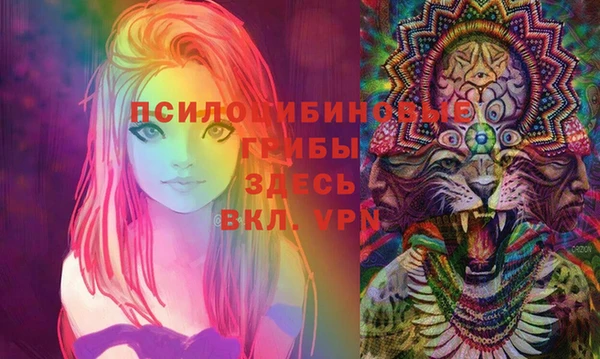 2c-b Алексеевка