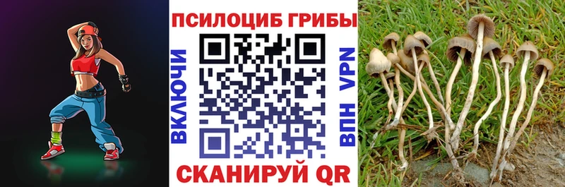 Псилоцибиновые грибы Magic Shrooms сколько стоит Мирный