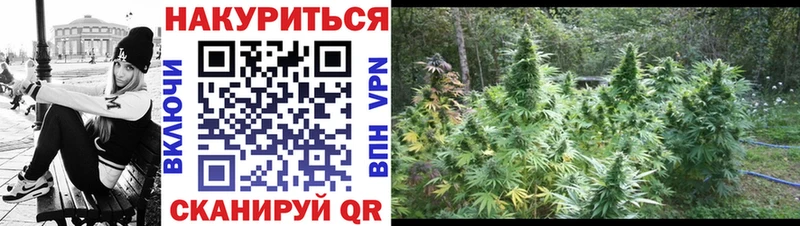 Конопля индика  наркошоп  МЕГА ссылки  Мирный 